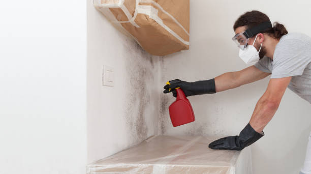 Professional Mold Inspection And Testing technician working in Massapequa, NY